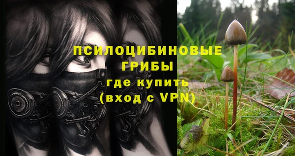СК Абдулино