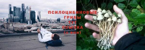 СК Абдулино