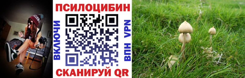 blacksprut рабочий сайт  Юрюзань  Псилоцибиновые грибы ЛСД 
